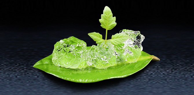Have You Heard About Agriculture Grade Super Absorbent Polymer Hydrogel?