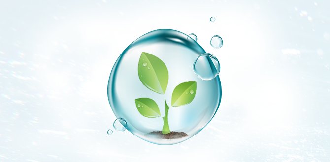 Agriculture Acrylic polymer SAP:Give Your Plants a Mini-Reservoir