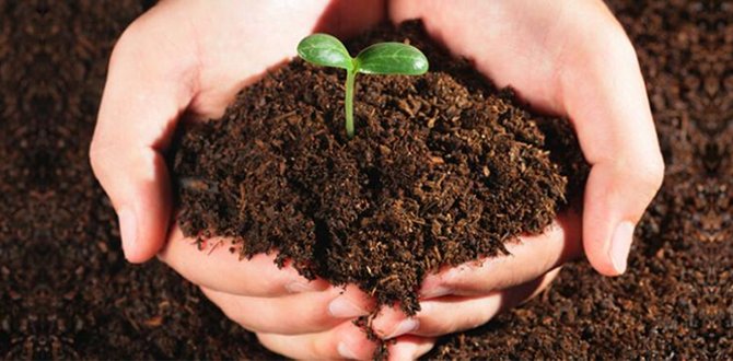 Humate Soil Conditioner – SAP Potassium Humate Composite