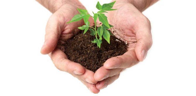 Humate Soil Conditioner – SAP Potassium Save Your Plants