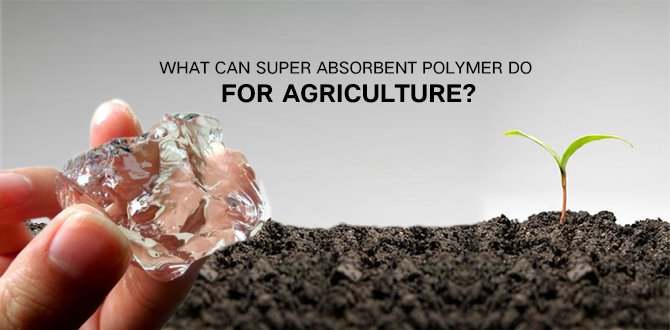Water Absorbing Crystals Make Plants Grow Better